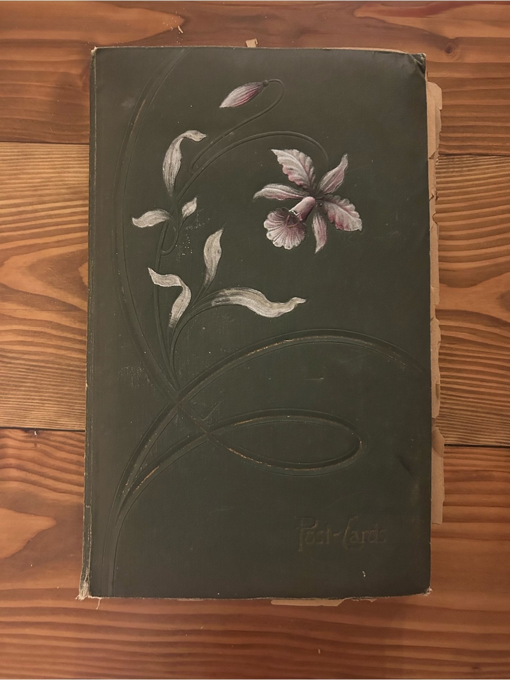 Antique Early 1900s postcard book and collection Travel and holidays
